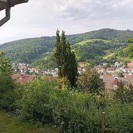 Das Tor Zum Odenwald Gorxheimertal Exterior photo