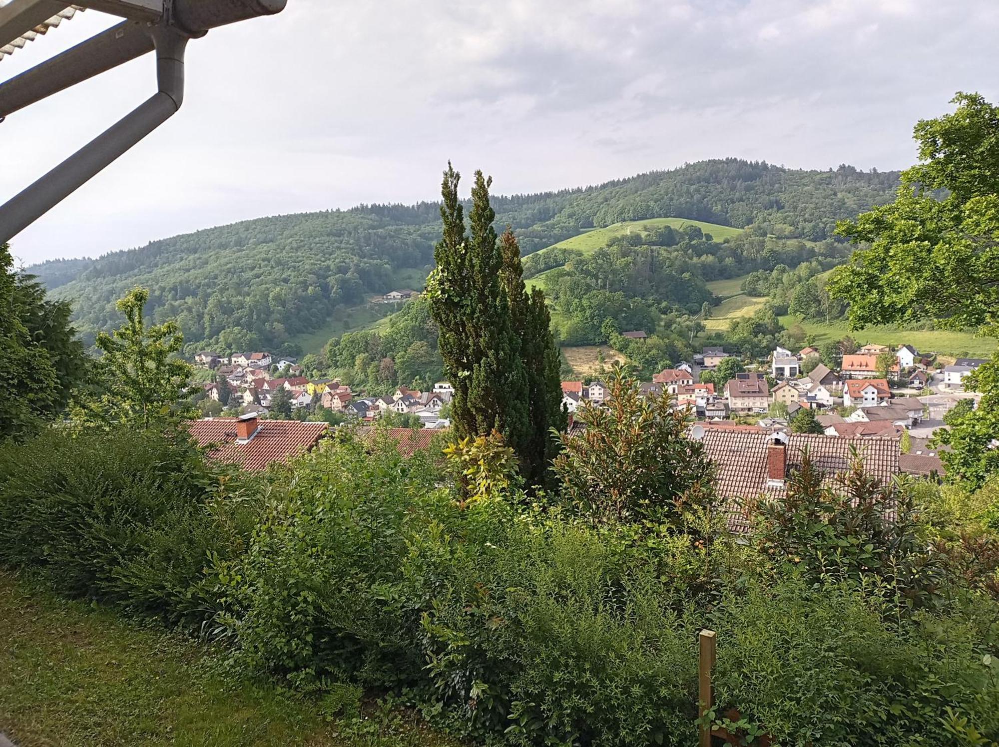 Das Tor Zum Odenwald Gorxheimertal Exterior photo