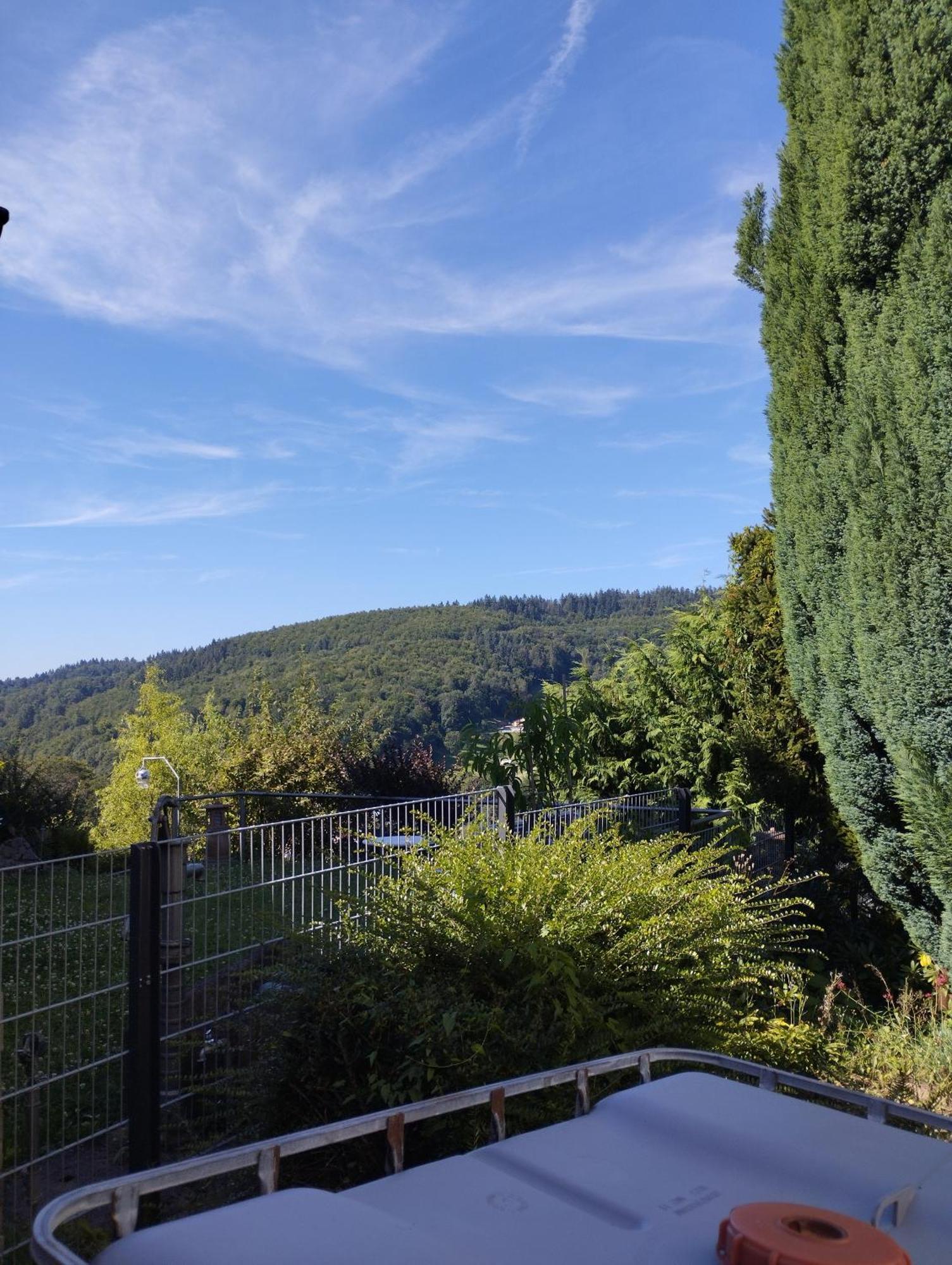 Das Tor Zum Odenwald Gorxheimertal Exterior photo