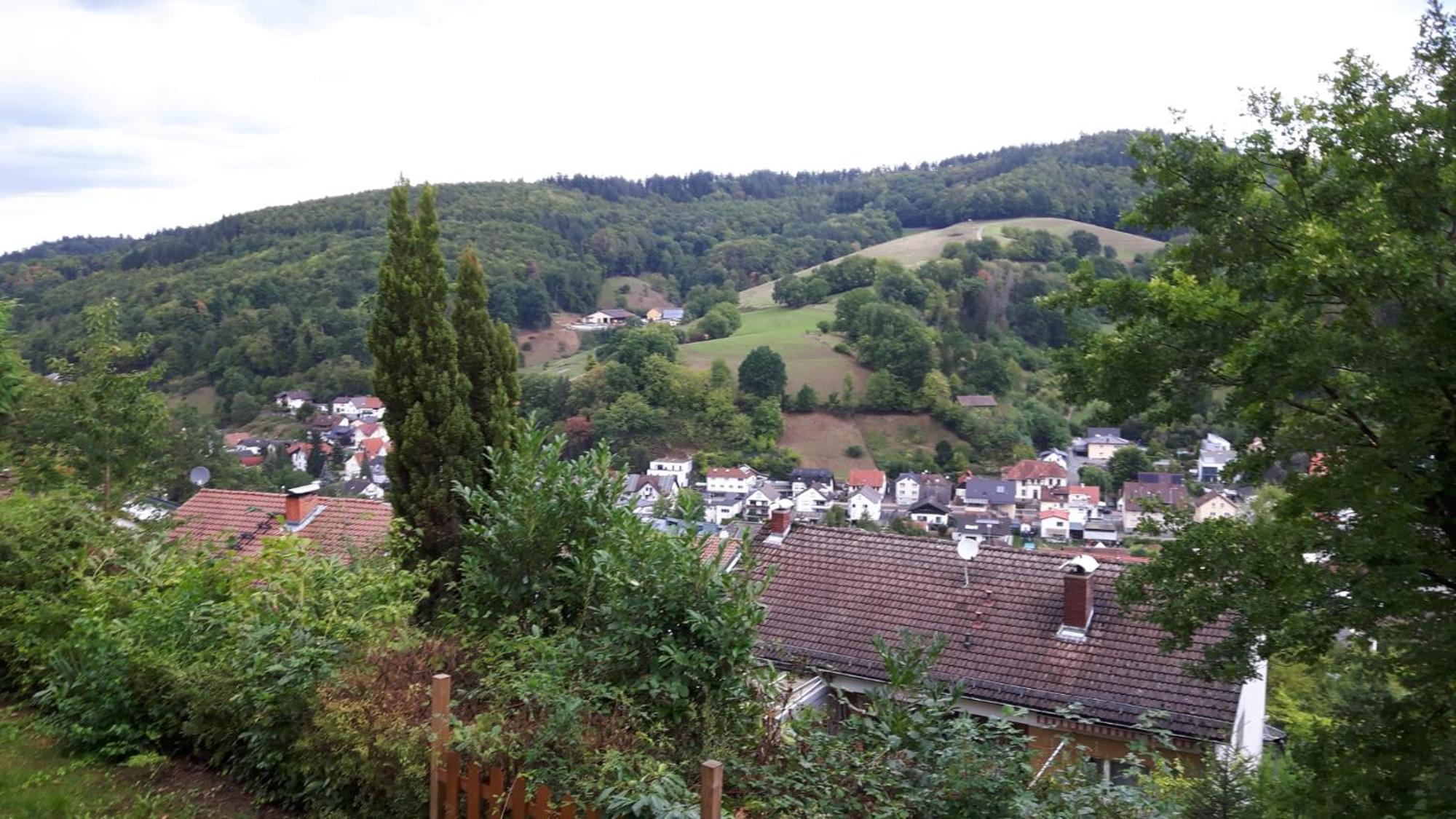 Das Tor Zum Odenwald Gorxheimertal Exterior photo