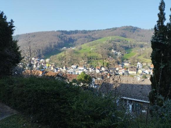 Das Tor Zum Odenwald Gorxheimertal Exterior photo
